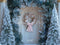 Kate Sapin de Noël Porte Neige Toile de fond conçue par Mini MakeBelieve - Kate Backdrop FR