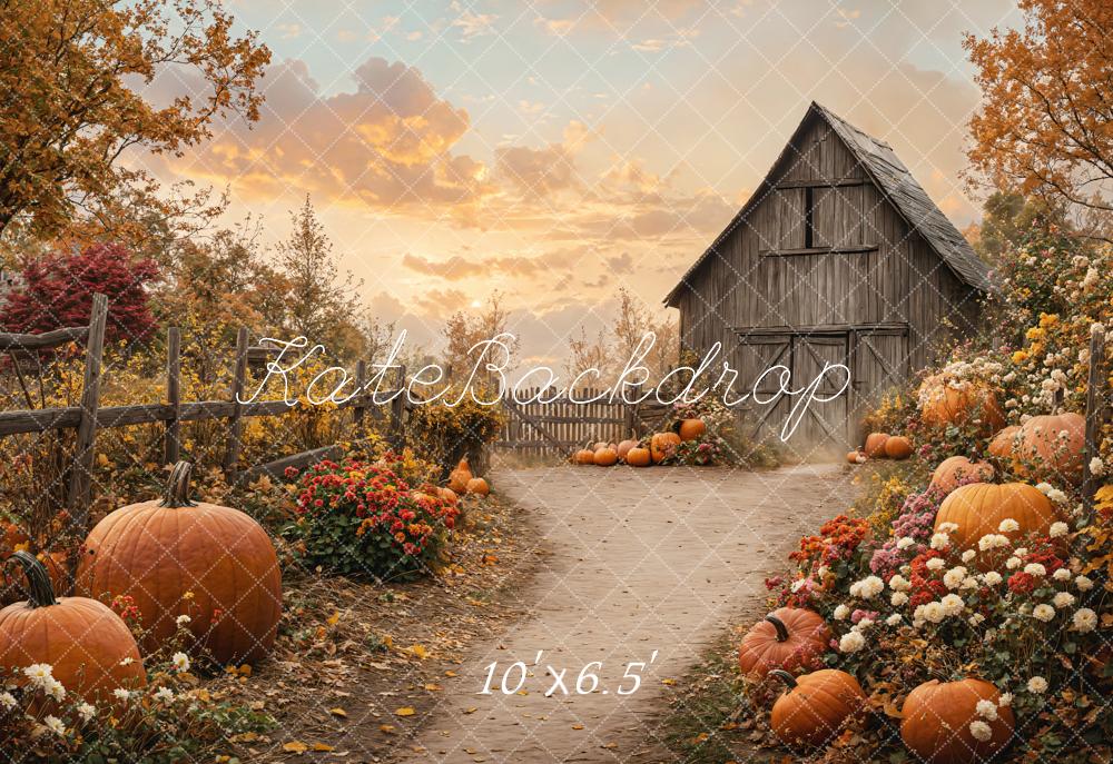 Kate Automne Citrouilles Fleurs Grange Toile de fond en Laine conçue par Emetselch
