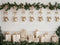 Kate Noël Clochettes Cadeaux Mur Blanc Toile de fond conçue par Patty Roberts