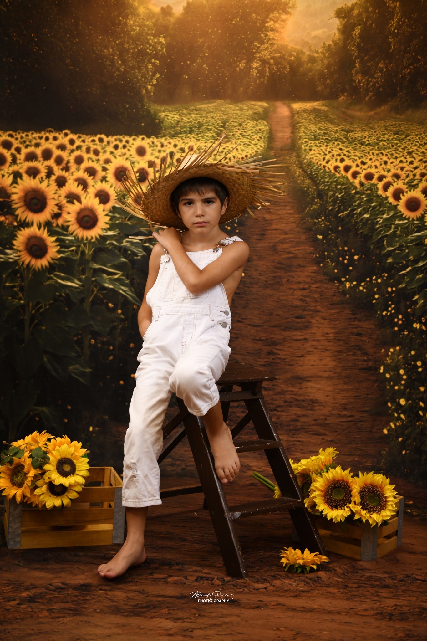 Kate Été Champ de Tournesols Chemin Toile de fond conçue par Emetselch - Kate Backdrop FR