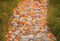 Kate Automne Feuilles Sol Pavé Toile de fond conçue par Emetselch