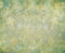 Kate Floral Vert Pastel Abstrait Sol Toile de fond en Laine conçue par Kate Image