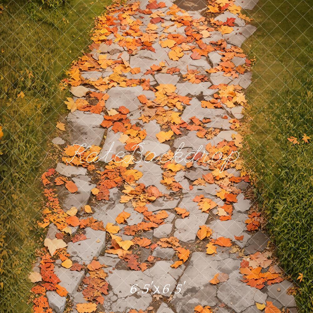Kate Automne Feuilles Sol Pavé Toile de fond conçue par Emetselch