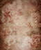 Kate Fleurs Roses Vintage Beige Toile de fond en Laine conçue par Emetselch - Kate Backdrop FR