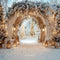 Kate Noël Arche Neige Lumières Toile de fond conçue par Emetselch