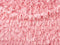 Kate Plumes Texture Rose Doux Toile de fond conçue par Patty Roberts - Kate Backdrop FR