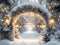 Kate Hiver Arche Neige Lumières Toile de fond en Laine conçue par Emetselch - Kate Backdrop FR