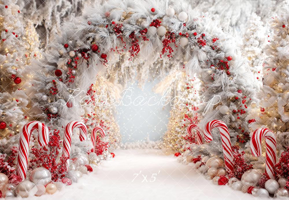 Kate Noël Arche Sucre Ornements Toile de fond conçue par Patty Roberts - Kate Backdrop FR