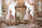 Kate Rose Robes Fleurs Miroir Toile de fond conçue par Ashley Paul - Kate Backdrop FR