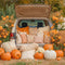 Kate Automne Citrouilles Fleurs Foin Voiture Toile de fond conçue par Emetselch - Kate Backdrop FR