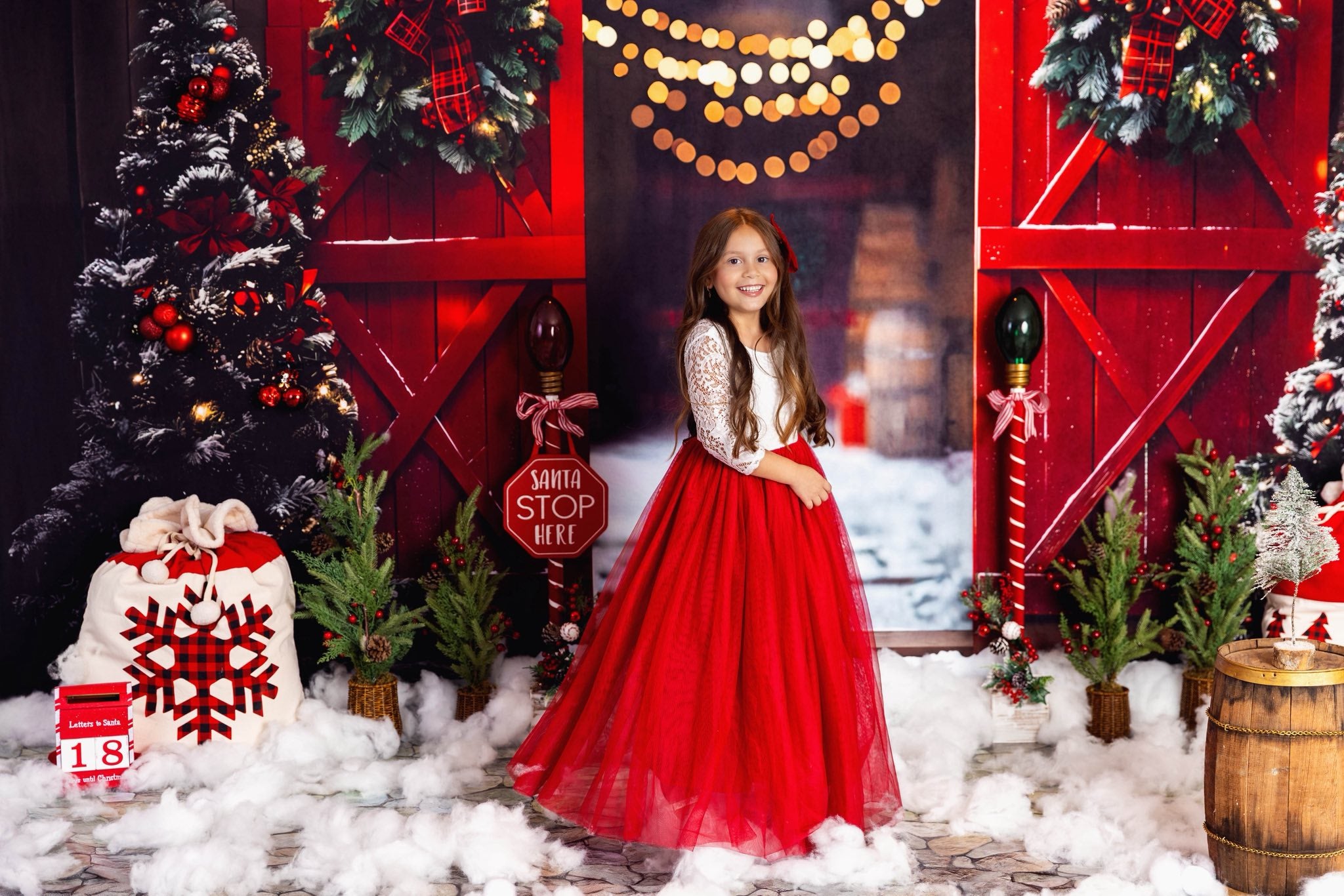 Kate Noël Nuit Rouge Porte de grange Neige Toile de fond conçue par Emetselch - Kate Backdrop FR