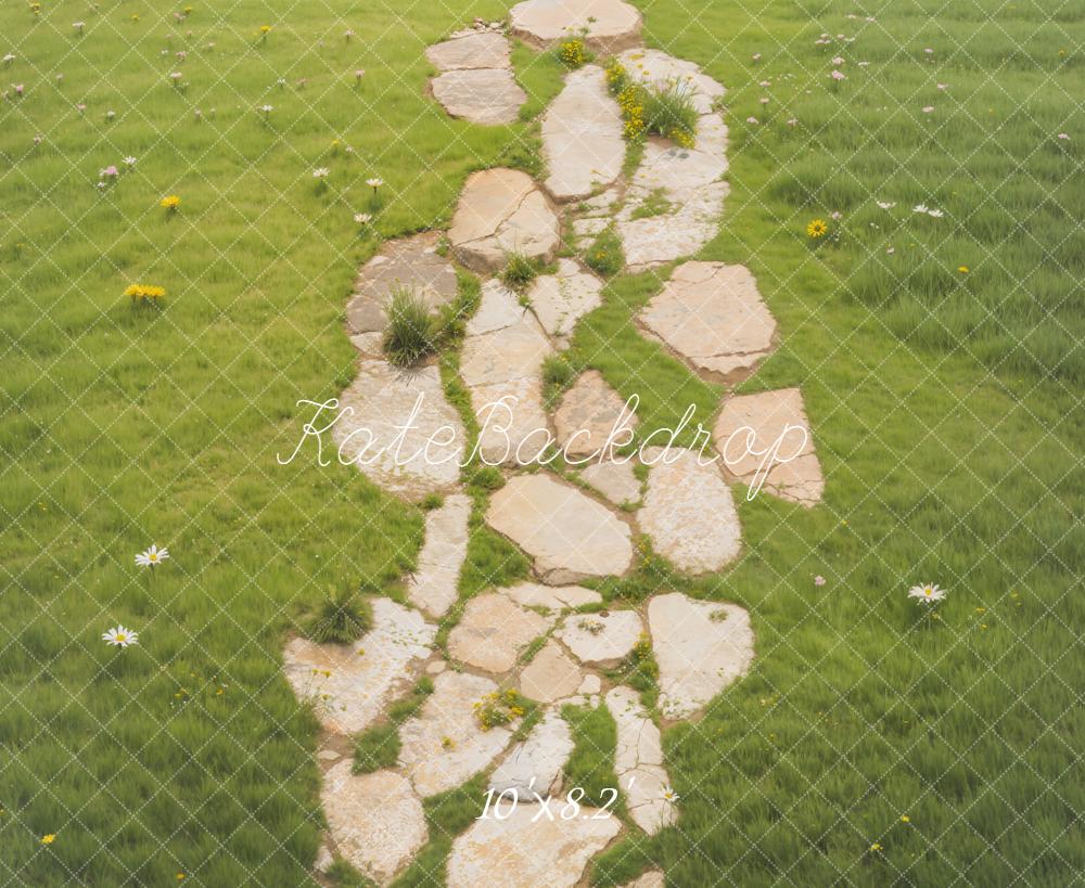 Kate Chemin Pierre Herbe Sol Toile de fond en Polar conçue par Emetselch