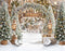 Kate Hiver Arbre Arche Patins Toile de fond en Laine conçue par Emetselch - Kate Backdrop FR