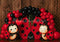 Kate Coccinelle Ballons Bois Anniversaire Toile de fond conçue par Patty Roberts - Kate Backdrop FR