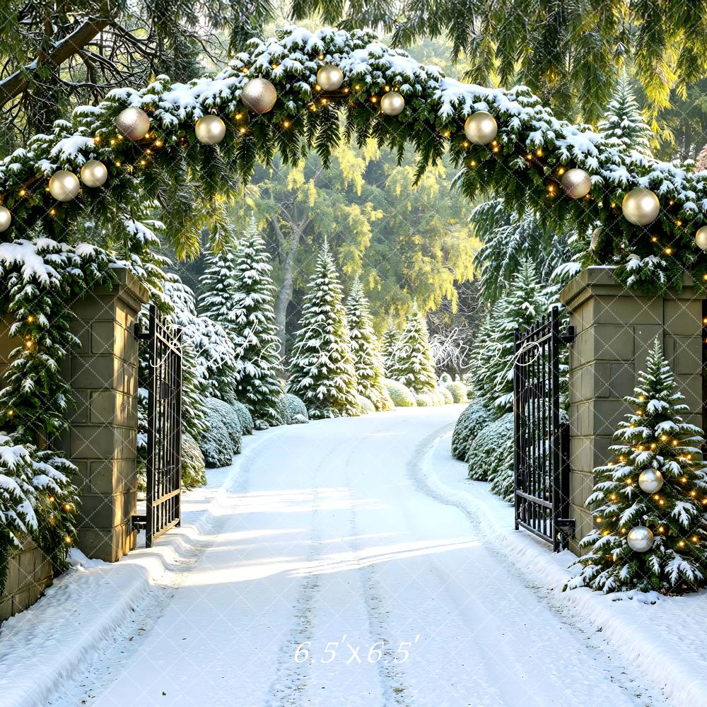 Kate Noël Chemin Arbres Neige Hiver Toile de fond conçue par Mini MakeBelieve - Kate Backdrop FR