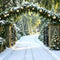 Kate Noël Chemin Arbres Neige Hiver Toile de fond conçue par Mini MakeBelieve - Kate Backdrop FR