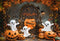Kate Halloween Citrouilles Fantômes Toile de fond en Laine conçue par Emetselch - Kate Backdrop FR