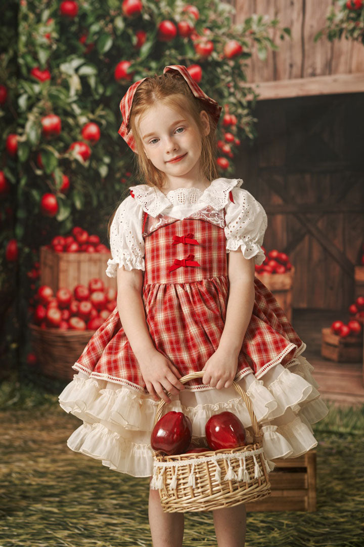 Kate Plaid Rouge Banquet Français Robe Enfant Pour la Photographie