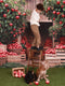 Kate Automne Verger Pommier Grange Toile de fond conçue par Emetselch - Kate Backdrop FR