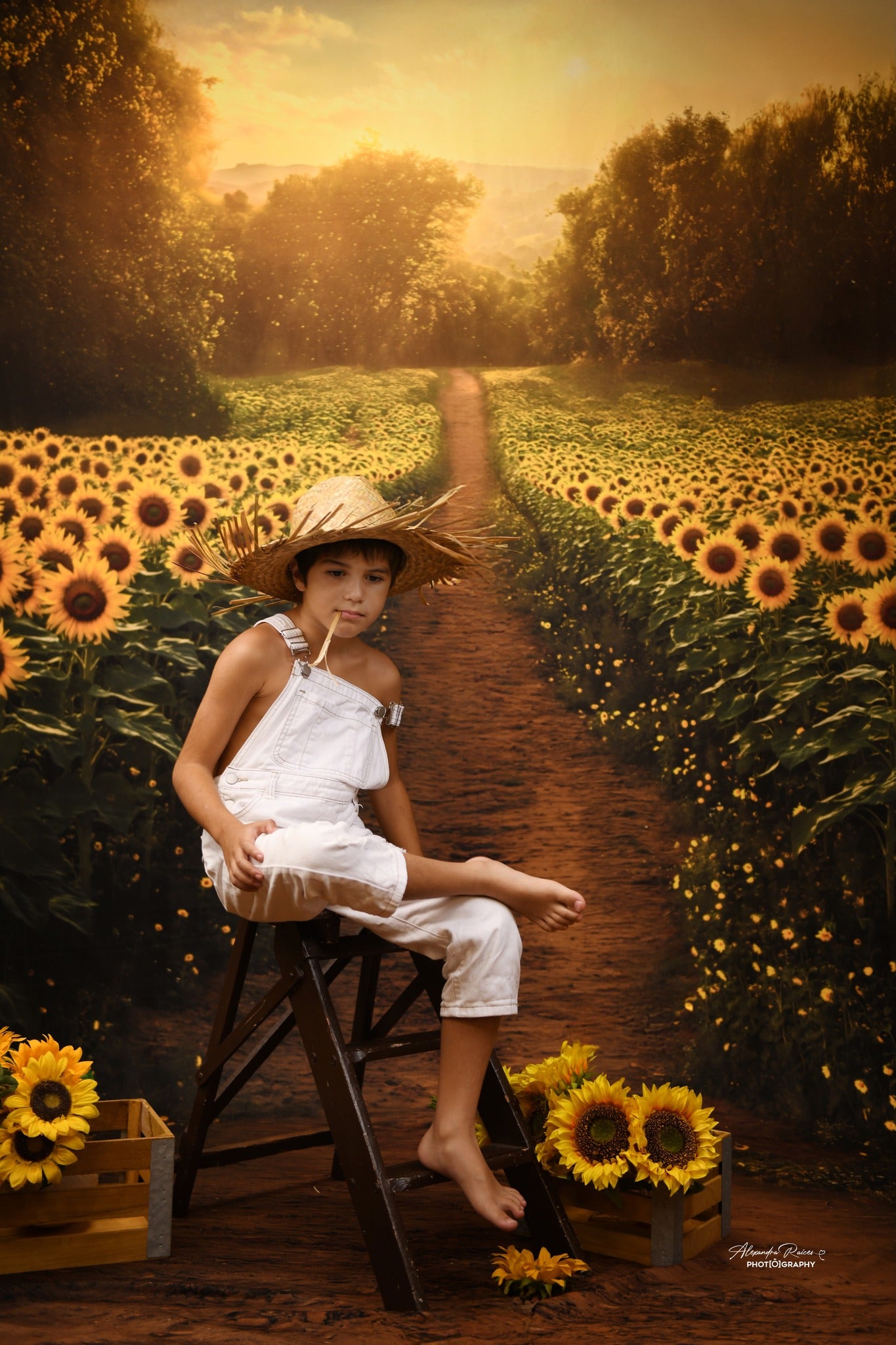 Kate Été Champ de Tournesols Chemin Toile de fond conçue par Emetselch - Kate Backdrop FR