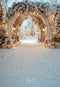 Kate Noël Arche Neige Lumières Toile de fond conçue par Emetselch