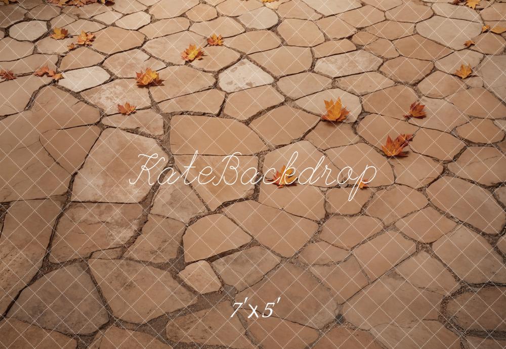 Kate Automne Feuilles Pierre Sol Toile de fond conçue par Emetselch
