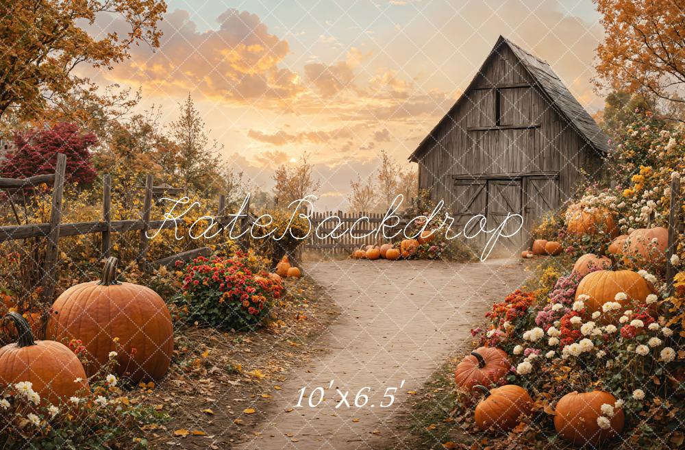 Kate Automne Grange Citrouilles Chemin Toile de fond conçue par Emetselch
