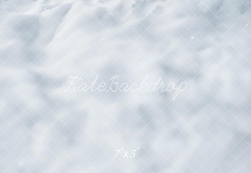 Kate Hiver Neige Texture Blanche Toile de fond conçue par Emetselch - Kate Backdrop FR