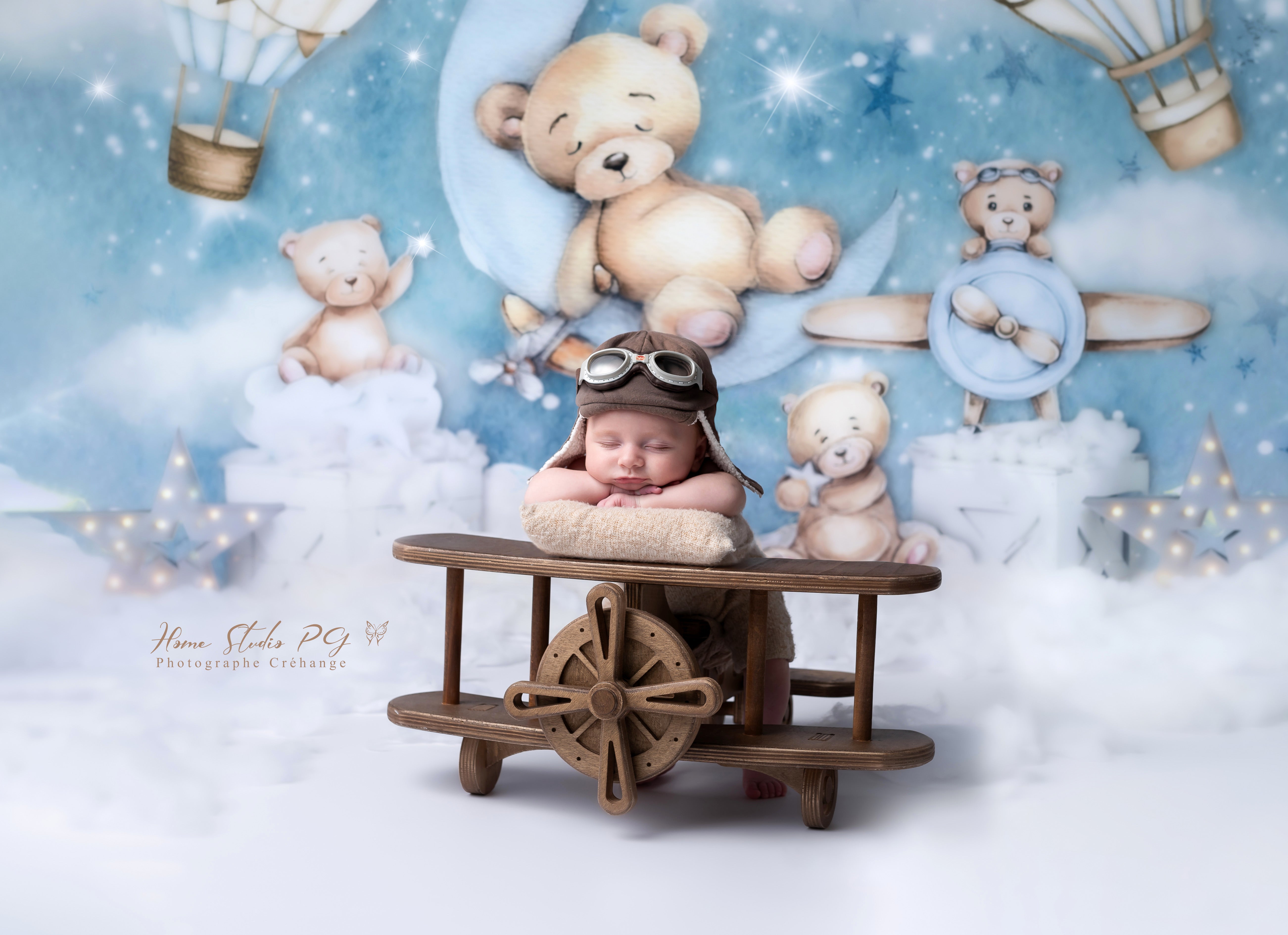 Kate Montgolfière Ours Enfants Toile de Fond Conçu par Ashley Paul - Kate Backdrop FR