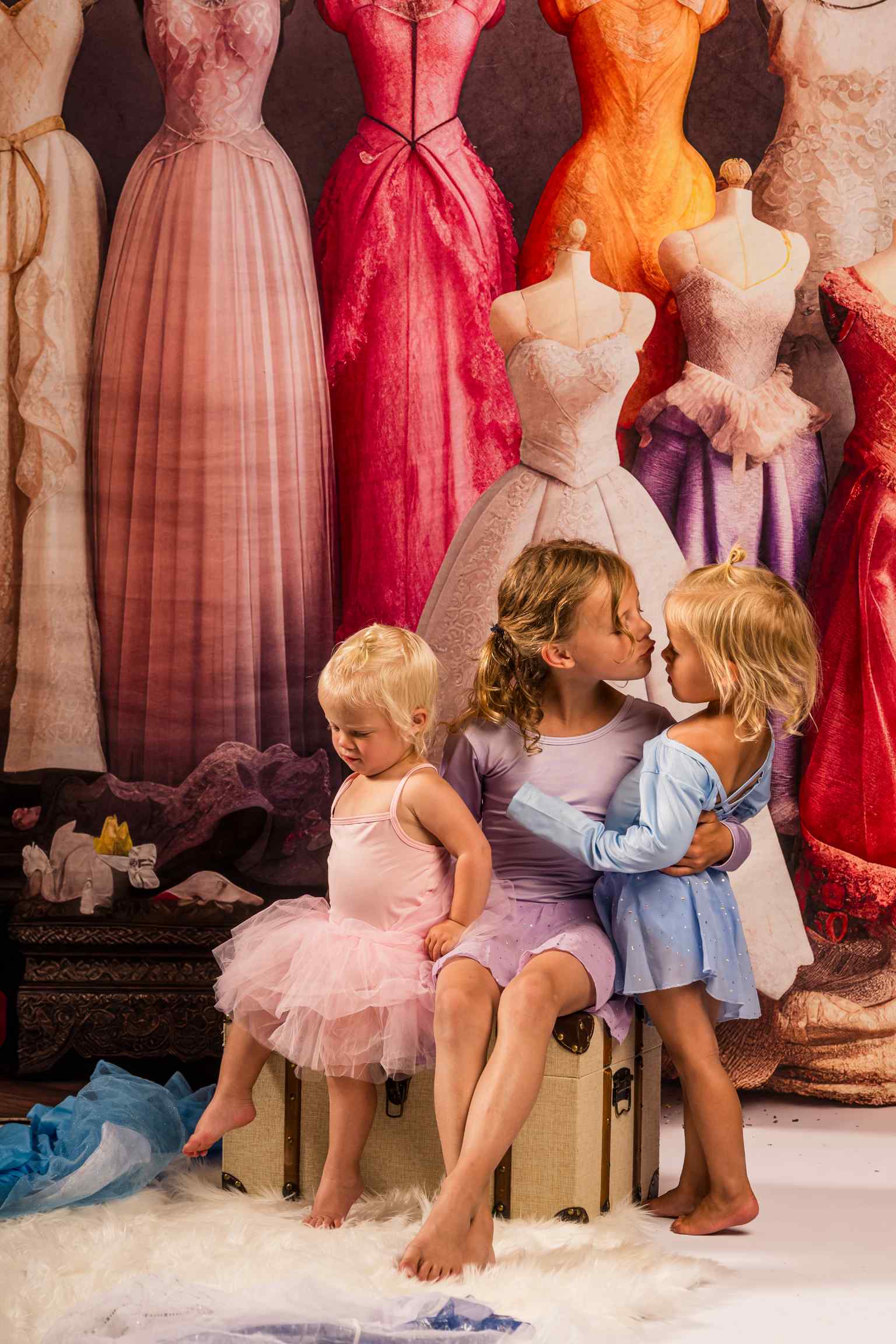 Kate Conte de fées Princesse Placard Toile de fond conçue par Mandy Ringe - Kate Backdrop FR