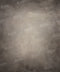 Kate Abstrait Beige Gris clair Toile de fond pour la photographie - Kate Backdrop FR