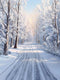 Kate Hiver Neige Route Arbres Toile de fond conçue par Chain Photographie - Kate Backdrop FR