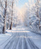 Kate Hiver Neige Route Arbres Toile de fond conçue par Chain Photographie - Kate Backdrop FR