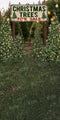 Kate Sweep Mur-à-Sol Sapin de Noël Vendre arbres Toile de fond pour la photographie - Kate Backdrop FR