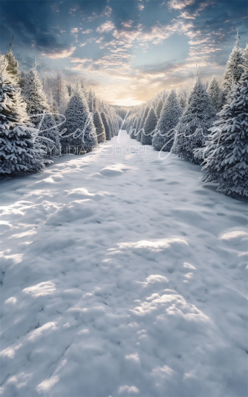 Kate Sweep Mur-à-Sol Soleil du matin Neige Forêt Toile de fond conçue par Lidia Redekopp - Kate Backdrop FR
