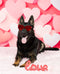 Kate Saint Valentin Rose Coeurs en papier Mur Toile de fond pour la photographie - Kate Backdrop FR