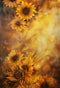 Kate Romantique Jaune Tournesol Toile de fond pour la photographie - Kate Backdrop FR