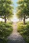 Kate Printemps Vert Arbres Herbe Chemin Toile de fond conçue par Chain Photographie - Kate Backdrop FR