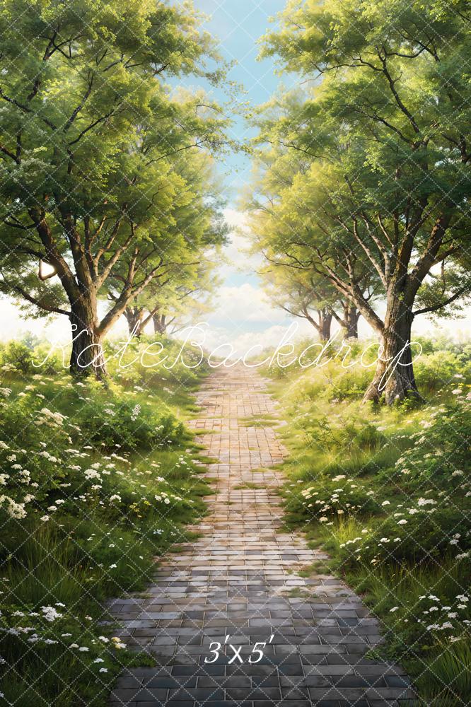 Kate Printemps Vert Arbres Herbe Chemin Toile de fond conçue par Chain Photographie - Kate Backdrop FR