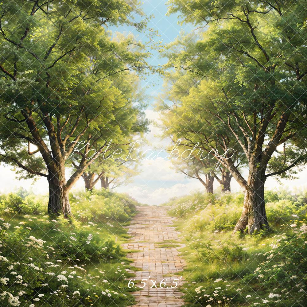 Kate Printemps Vert Arbres Herbe Chemin Toile de fond conçue par Chain Photographie - Kate Backdrop FR