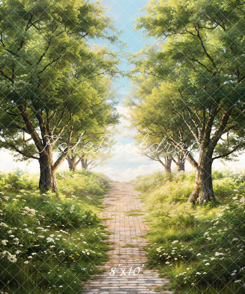 Kate Printemps Vert Arbres Herbe Chemin Toile de fond conçue par Chain Photographie - Kate Backdrop FR