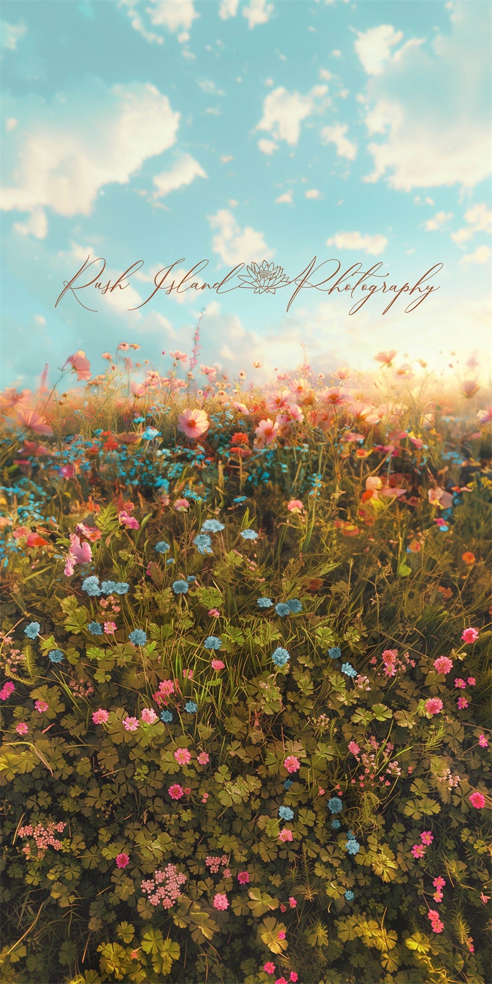 Kate Sweep Mur-à-Sol Printemps Champ Plante Fleur Toile de fond conçue par Laura Bybee - Kate Backdrop FR