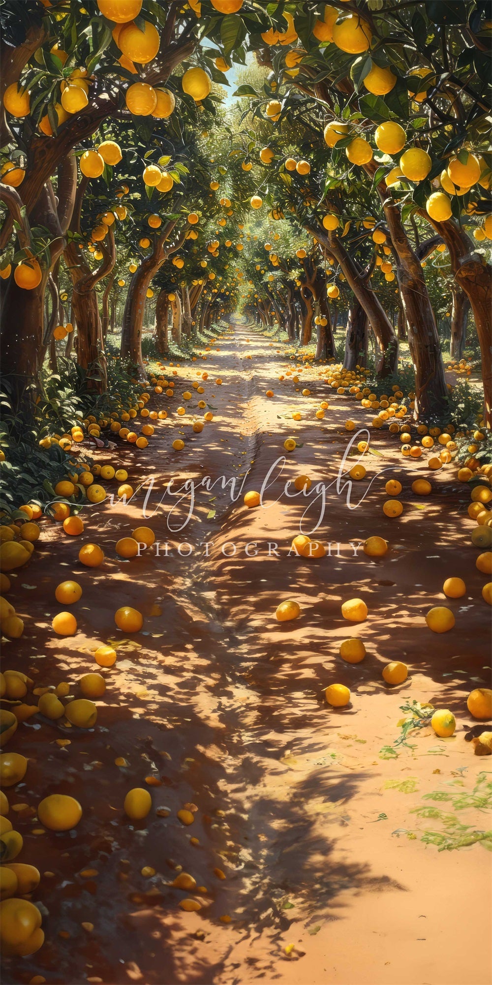 Kate Sweep Mur-à-Sol Citronnier Verger Chemin Été Toile de fond conçue par Megan Leigh - Kate Backdrop FR