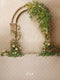 Kate Beige Mur en arc Vintage Fête des mères Toile de fond conçue par Emetselch - Kate Backdrop FR