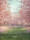Kate Printemps Fleurs de Cerisier Herbe Toile de fond conçue par Emetselch - Kate Backdrop FR