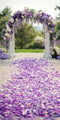 Kate Sweep Mur-à-Sol Lavande Fleur Allée Arche Toile de fond conçue par Patty Roberts - Kate Backdrop FR
