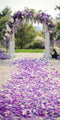 Kate Sweep Mur-à-Sol Lavande Fleur Allée Arche Toile de fond conçue par Patty Roberts - Kate Backdrop FR