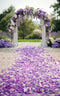 Kate Sweep Mur-à-Sol Lavande Fleur Allée Arche Toile de fond conçue par Patty Roberts - Kate Backdrop FR