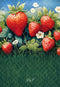 Kate Été Champ de Fraises Herbe Toile de fond conçue par Emetselch - Kate Backdrop FR