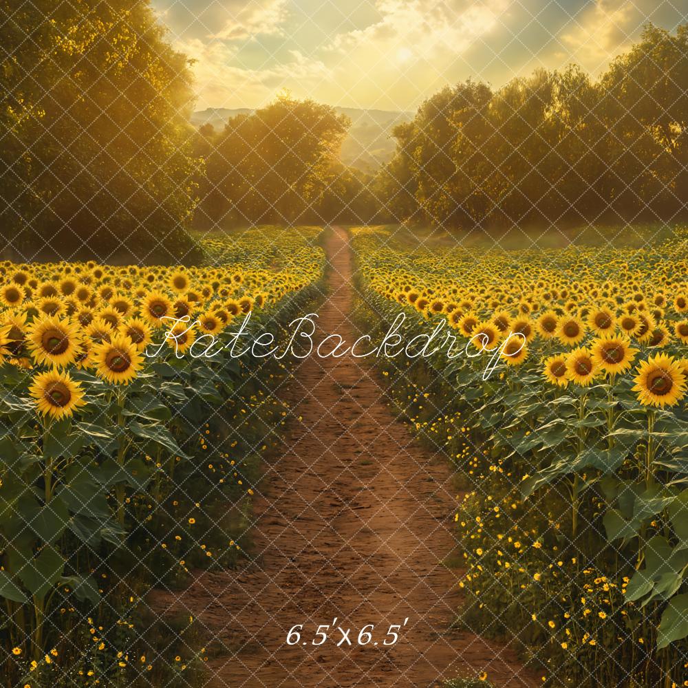 Kate Été Champ de Tournesols Chemin Toile de fond conçue par Emetselch - Kate Backdrop FR